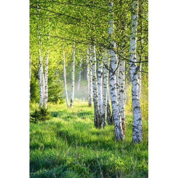 Obrázky: Zápisník A5 GROWBOOK™ se semeny břízy, přírodní, Obrázek 8